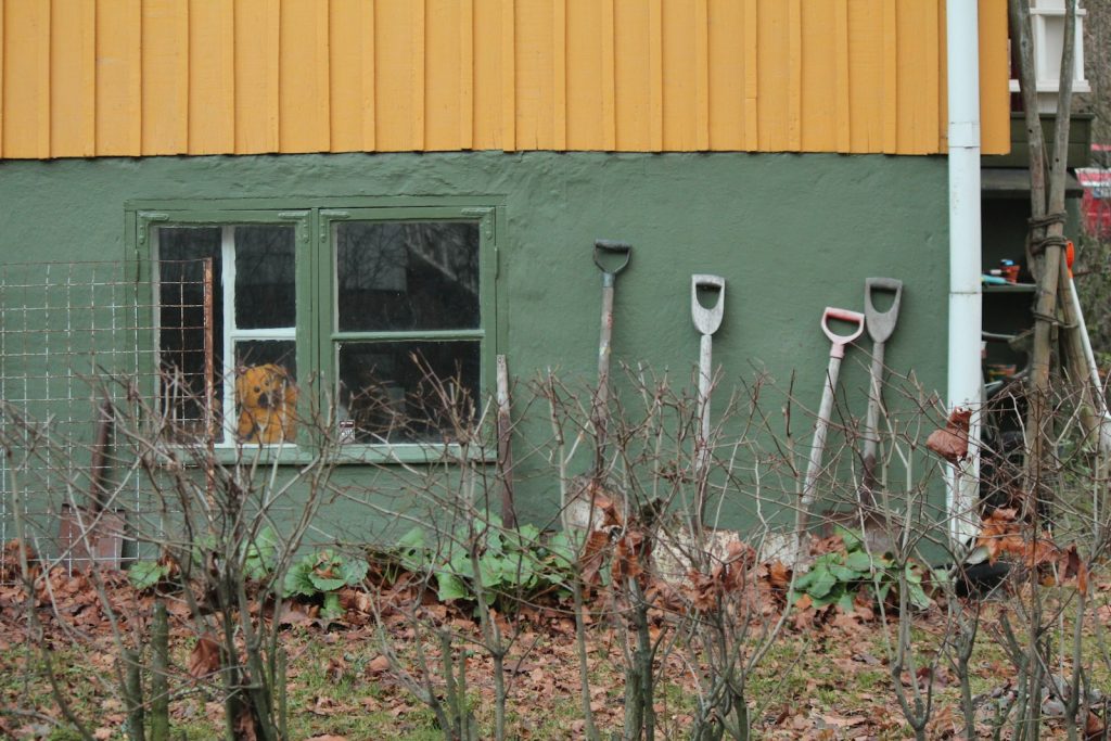Autumn Grounds Maintenance Tips